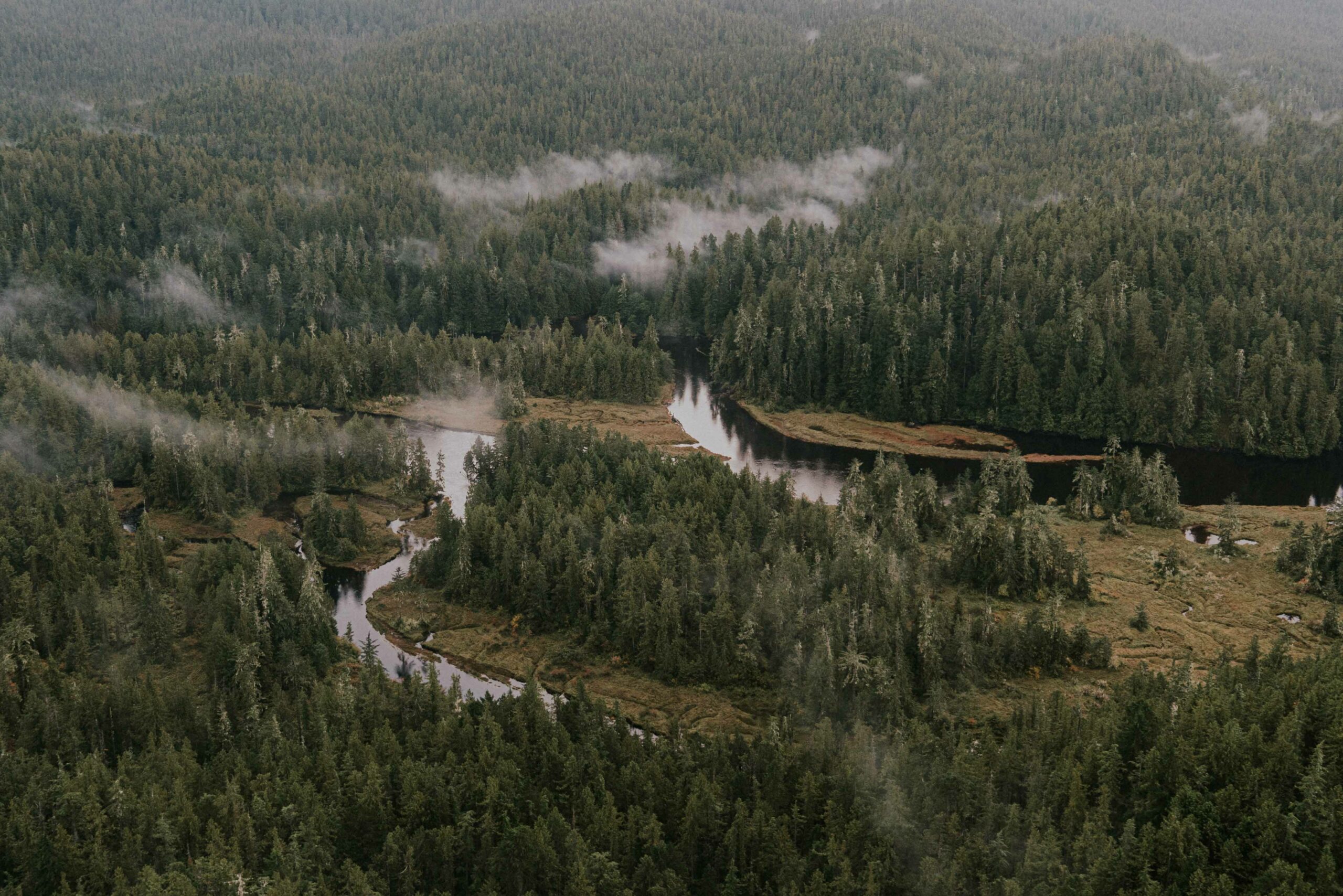An aerial view of green misty forest and waterways