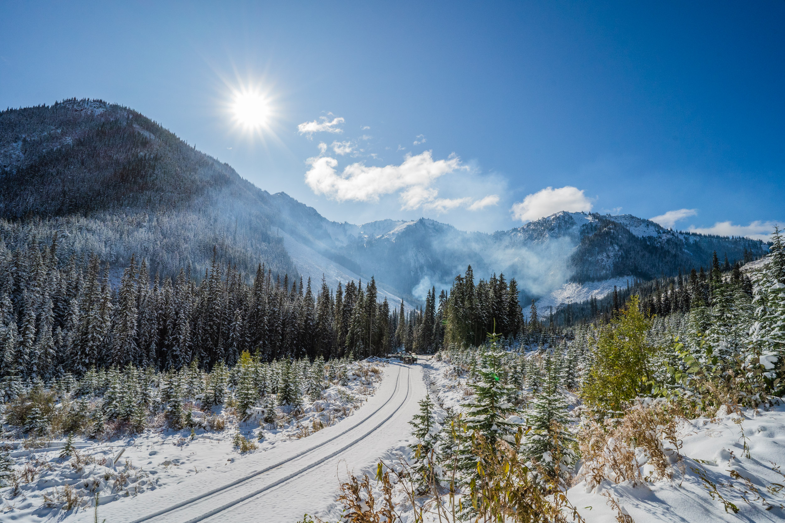 A snowy road leads into the forest with the Silverdaisy mountain peaks in the background