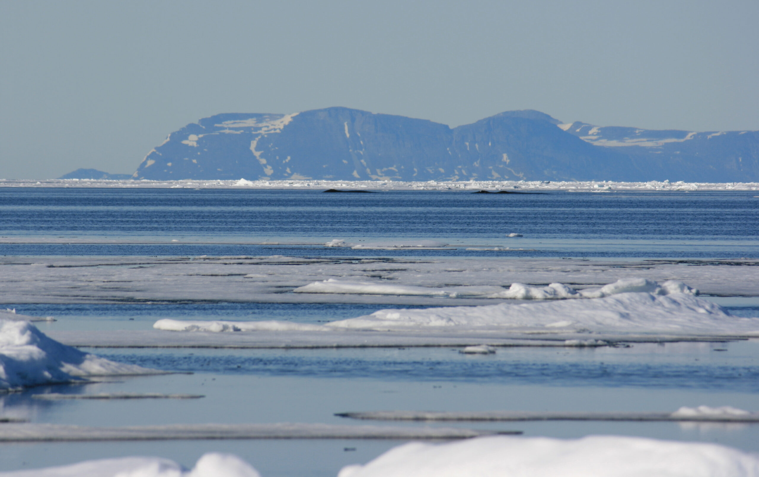 Icy waters and shoreline of Tallurutiup Imanga; Lancaster Sound, Northwest Passage, Nunavut