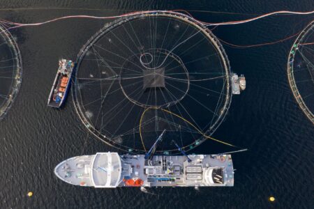 The nets of a salmon farm on the B.C. coast are seen in dark waters