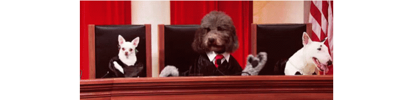 GIF of three dogs dressed as judges.