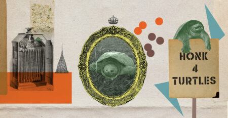 Grace the 125-year-old turtle