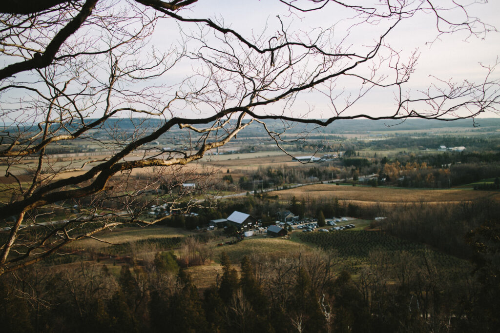 A tree branch is in the foreground of a view of fields dotted with barns and houses, with the Niagara Escarpment in the background.