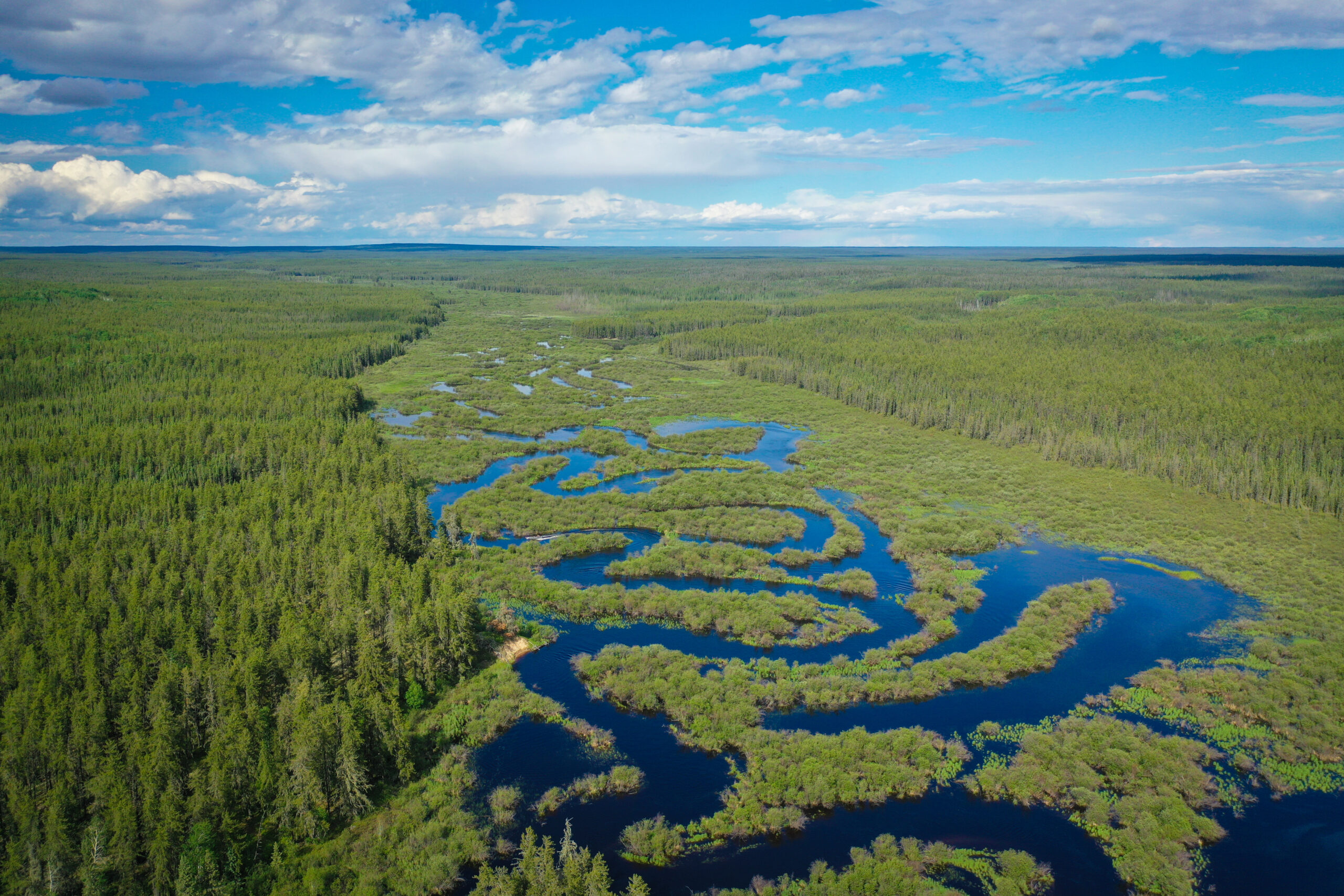 An aerial view of wetlands in northwest Saskatchewan.