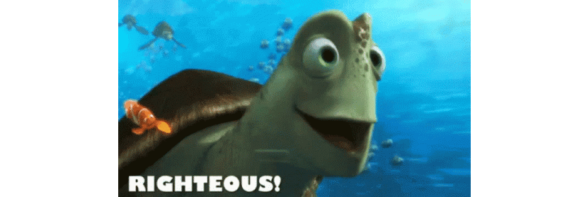 GIF of Finding Nemo turtle saying "righteous!"