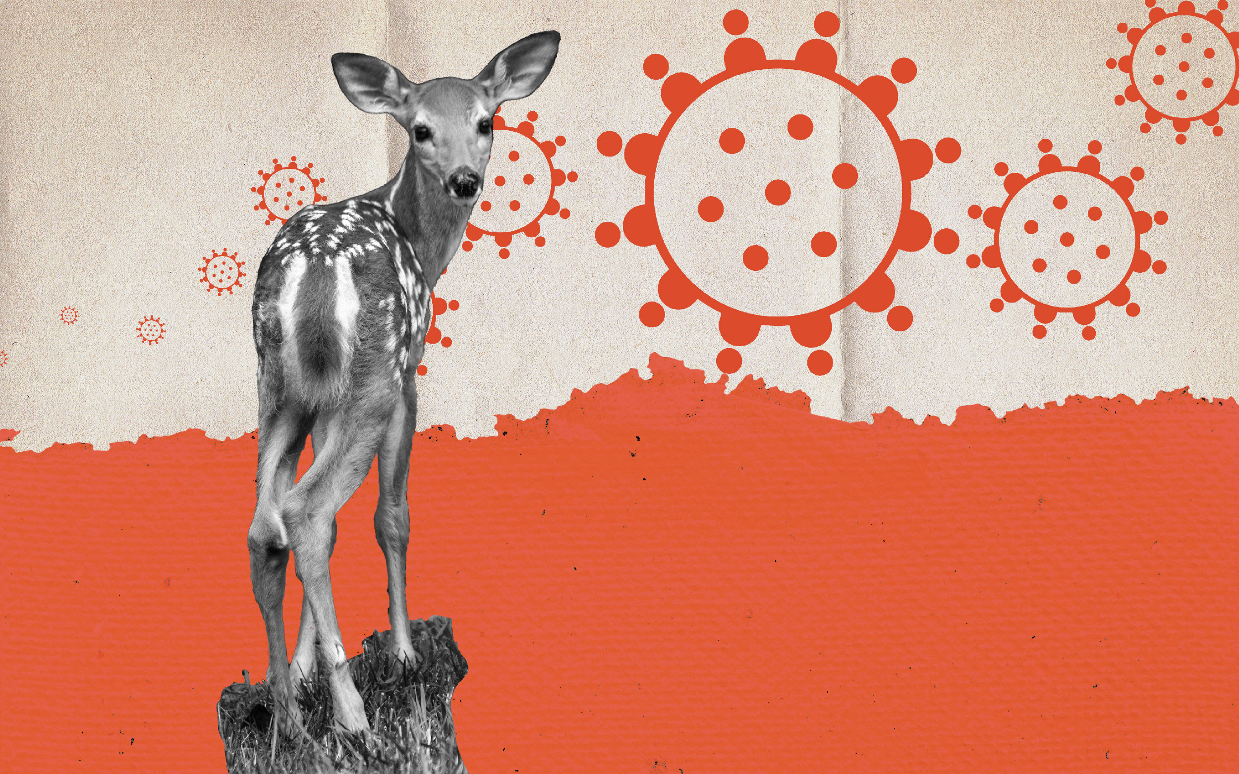 A photo illustration of a deer over a background of viruses.