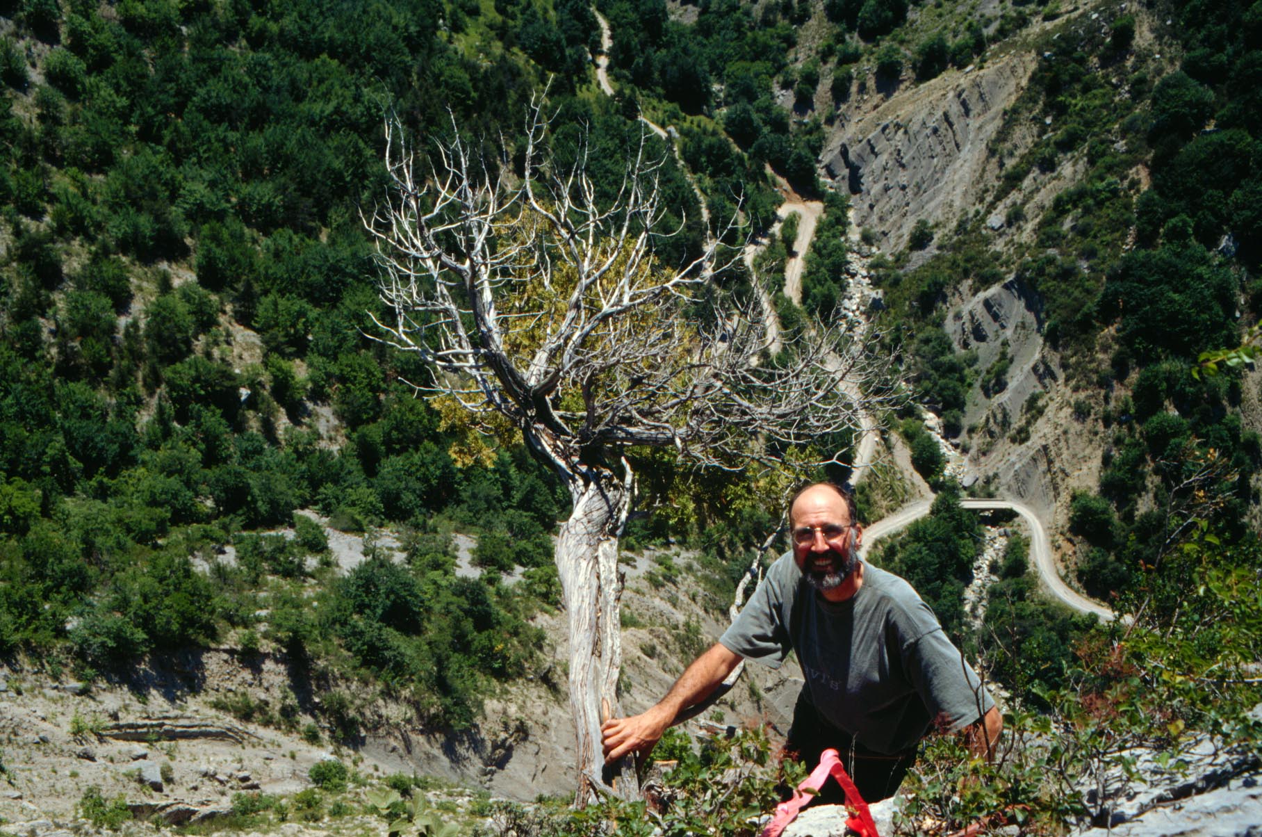 An older man with a beard and glasses hangs from a harness off a cliff, holding onto a tree growing sideways out of the rock.