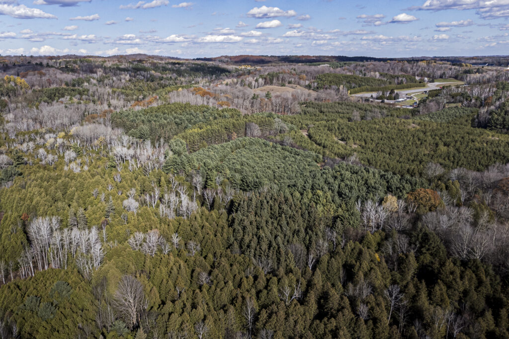 A forest in the Ontario Greenbelt is seen from above on a sunny day.