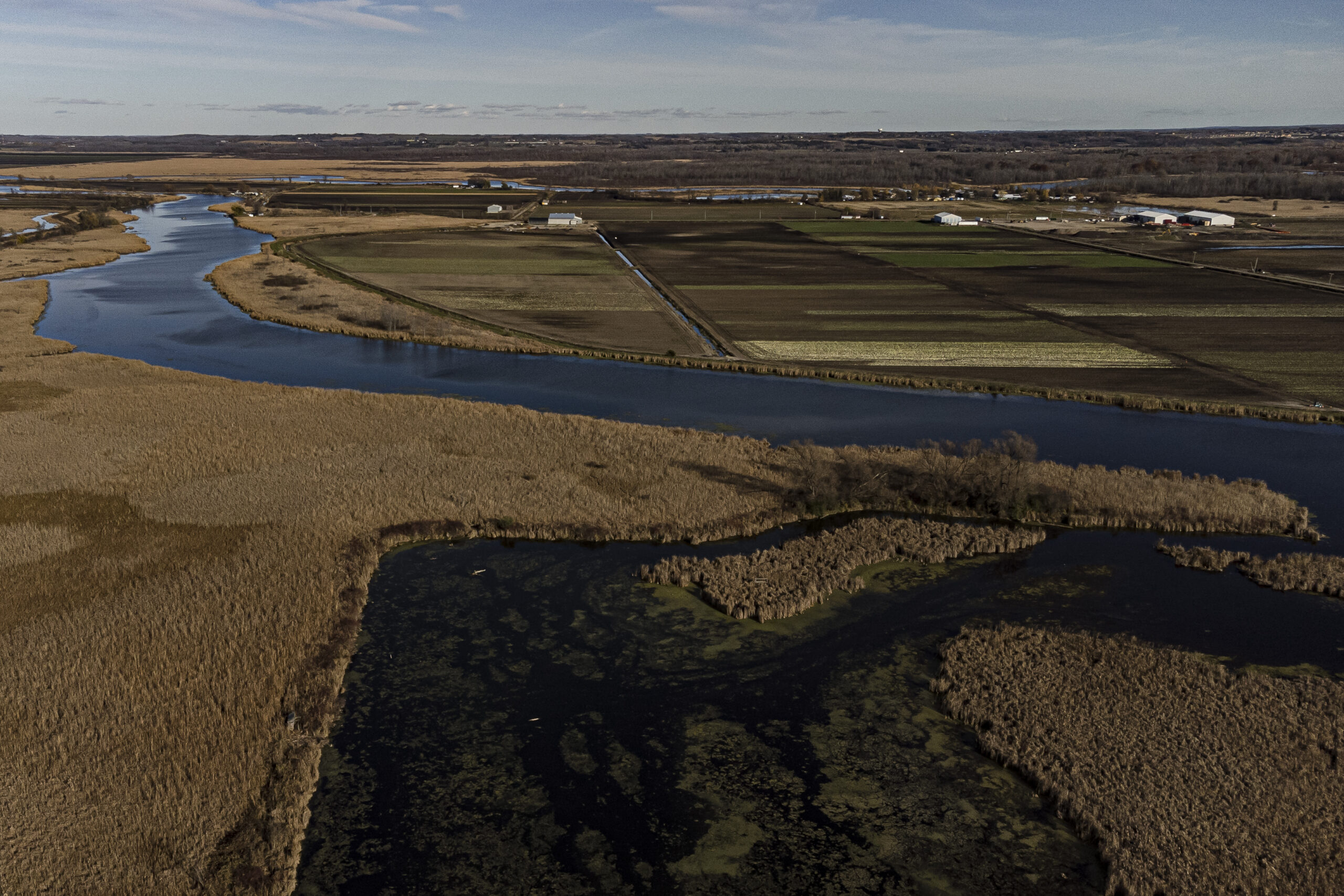 An aerial view of farmlands and reeds in the Holland Marsh, with the Holland River running through the middle