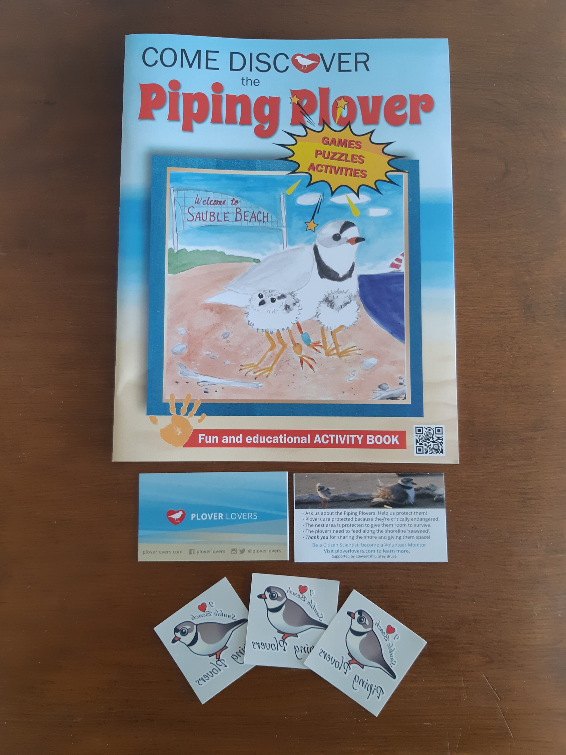 An educational activity book about piping plovers.