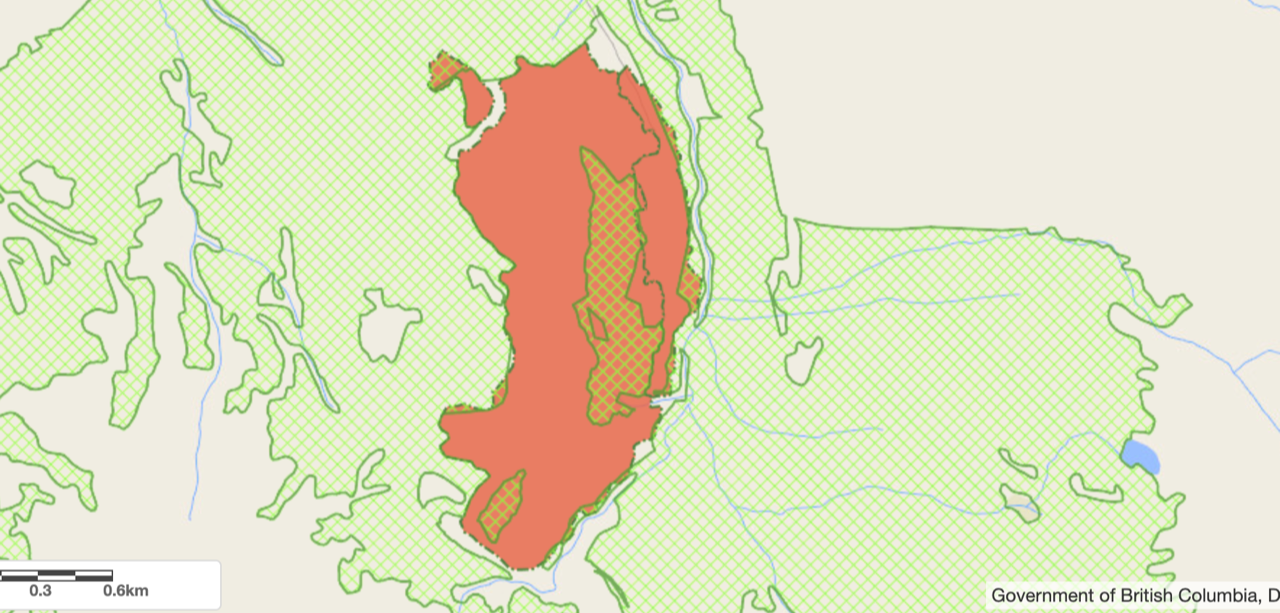 A red and green map showing a cutblock in caribou habitat