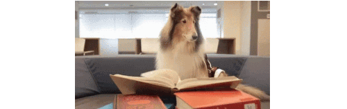 GIF of a dog flipping through a book.