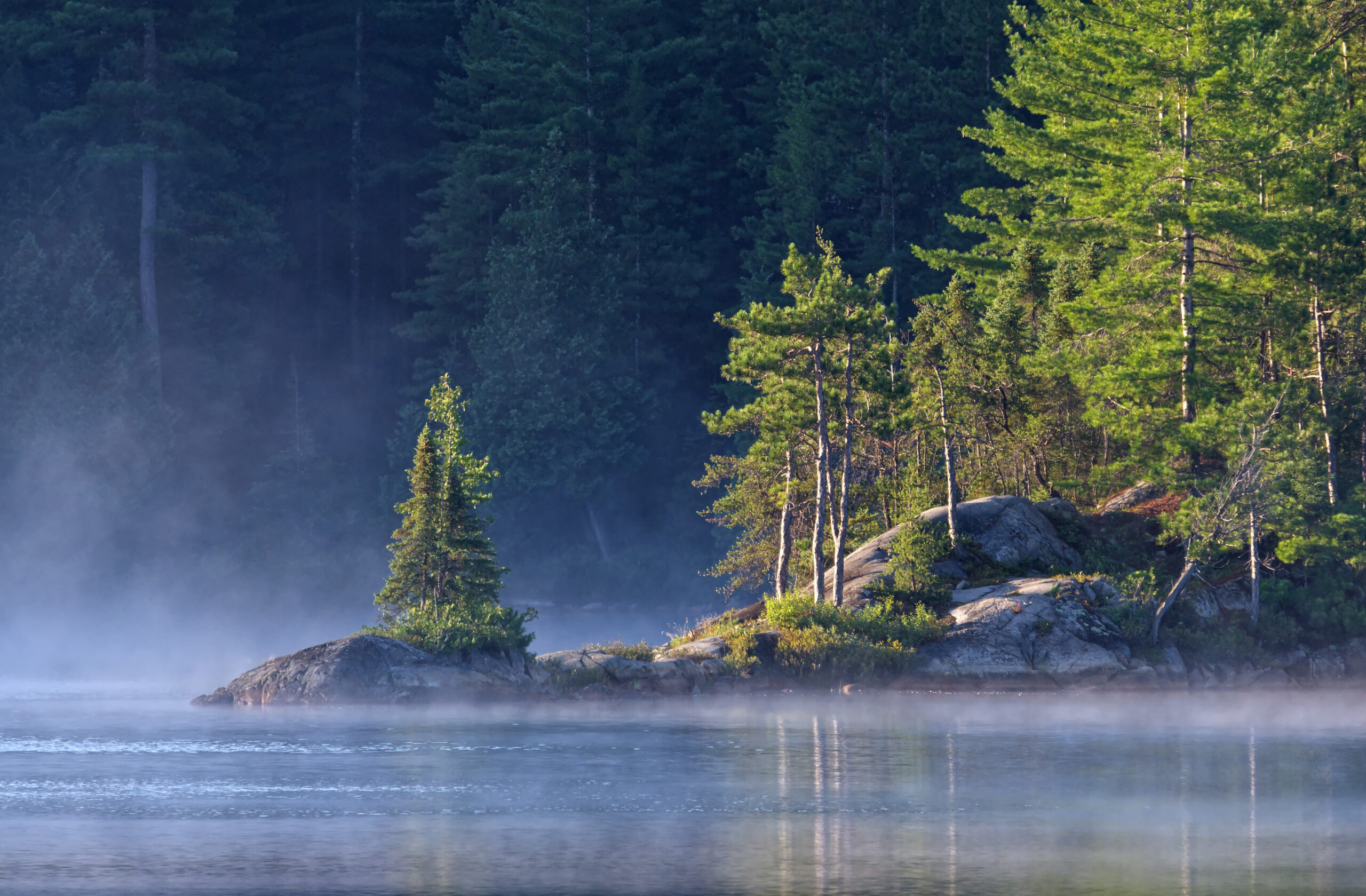In the Ontario forests of Temagami, mist rises from a lake with early morning sunlight beaming onto conifer trees growing out of rocks at the water's edge.