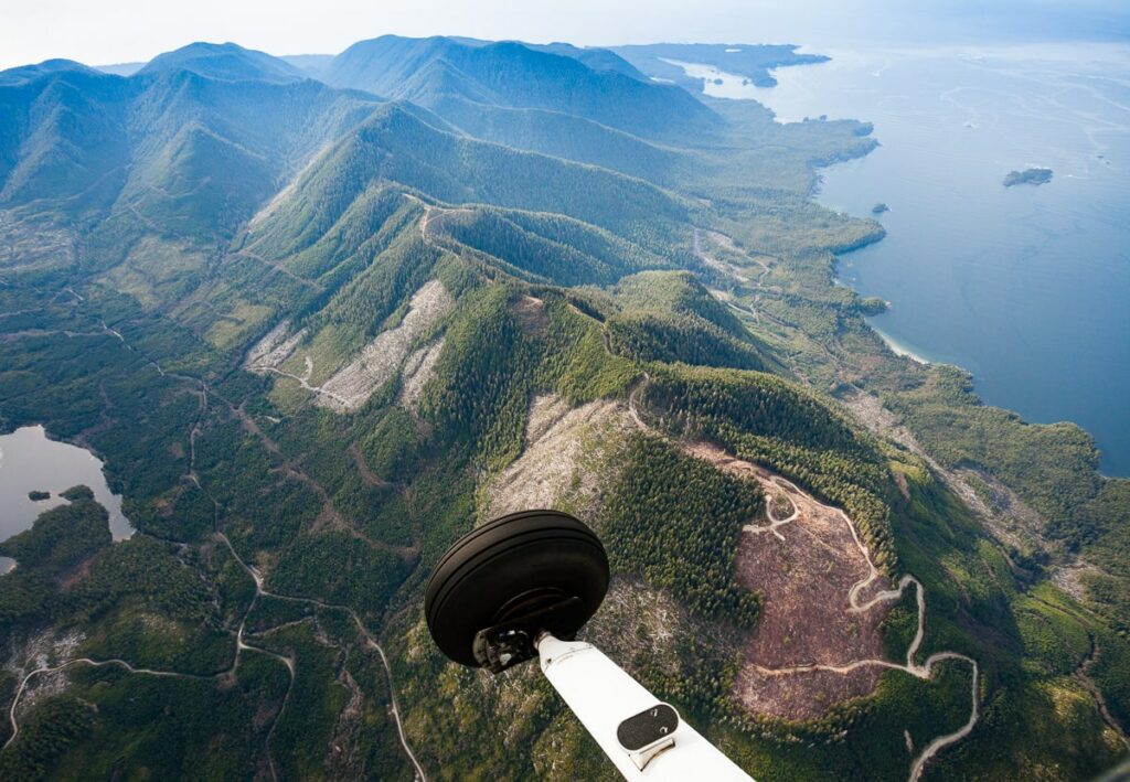 Nootka Island clearcutting from the air