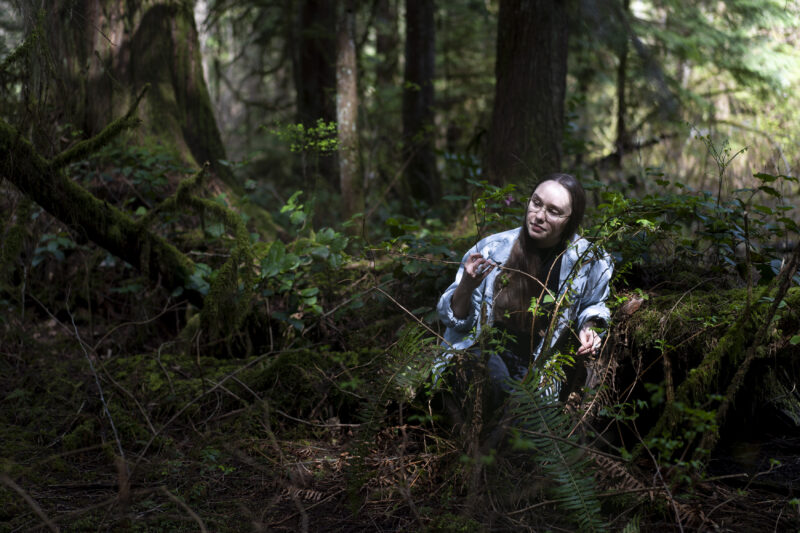 Angelina Hopkins Rose looks at a salmonberry bush at Mundy Lake Park in Coquitlam, B.C.