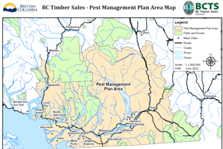 Bc Foraging Map Glyphosate from helicopters? What's planned for some B.C. forests
