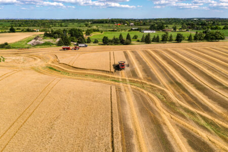 A combine harvester crosses a golden farm field on a sunny day with trees and houses dotting green fields in the background.