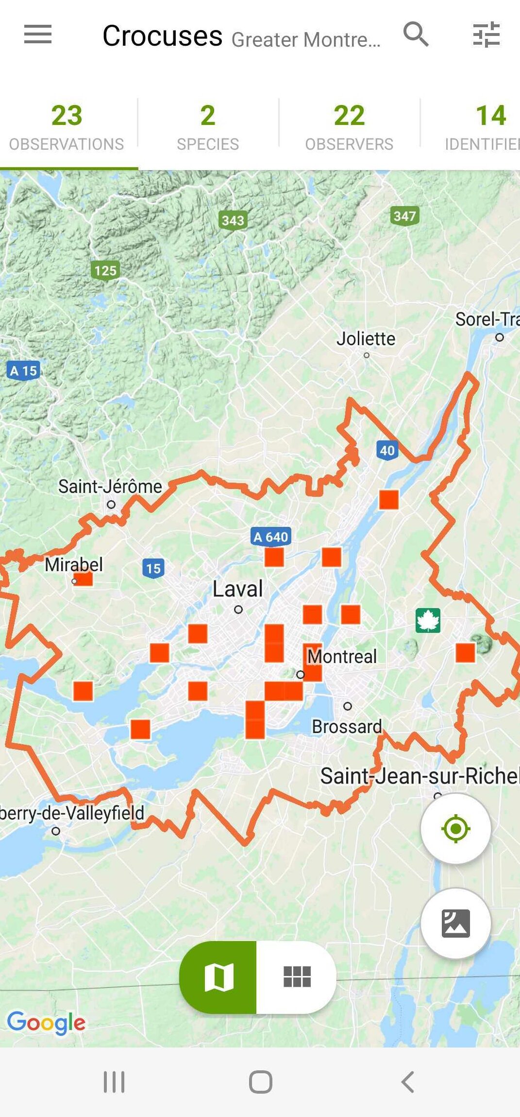 A screenshot of an iNaturalist map of crocus locations in Montreal