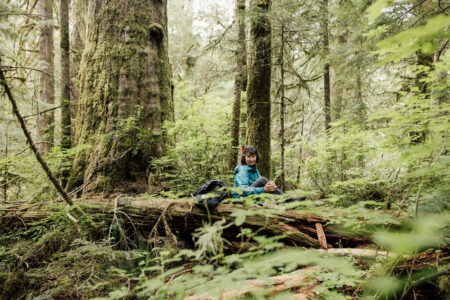 Reporter Sarah Cox is seen in a forest around the Fairy Creek watershed.