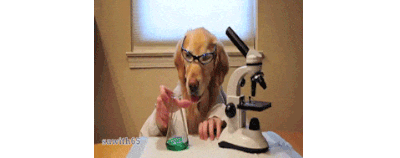 A GIF of a dog dressed as a scientist and holding a beaker