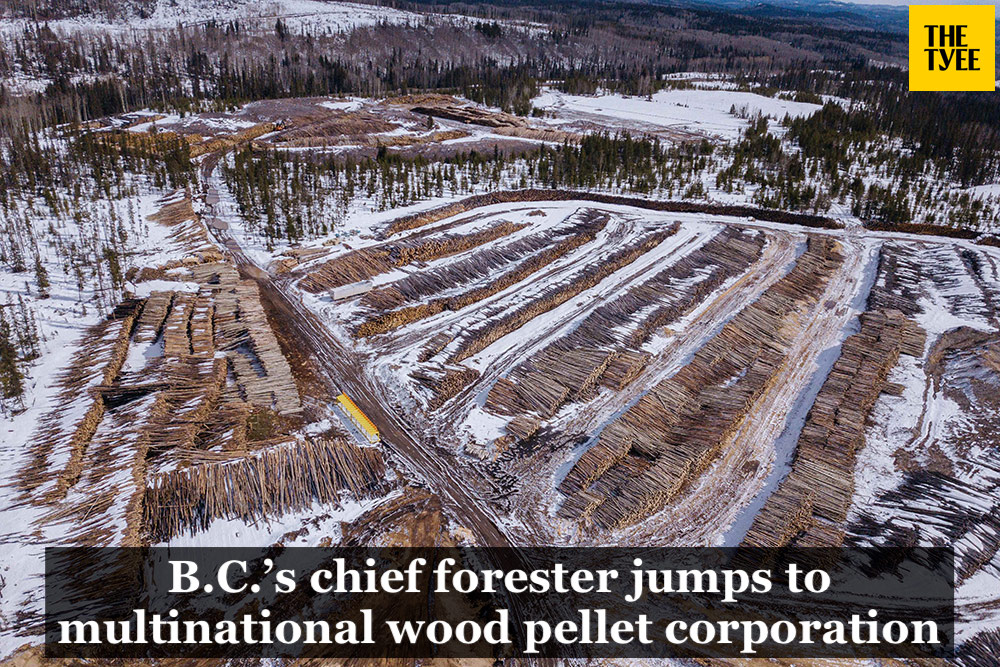 Tyee: B.C.’s chief forester jumps to multinational wood pellet corporation