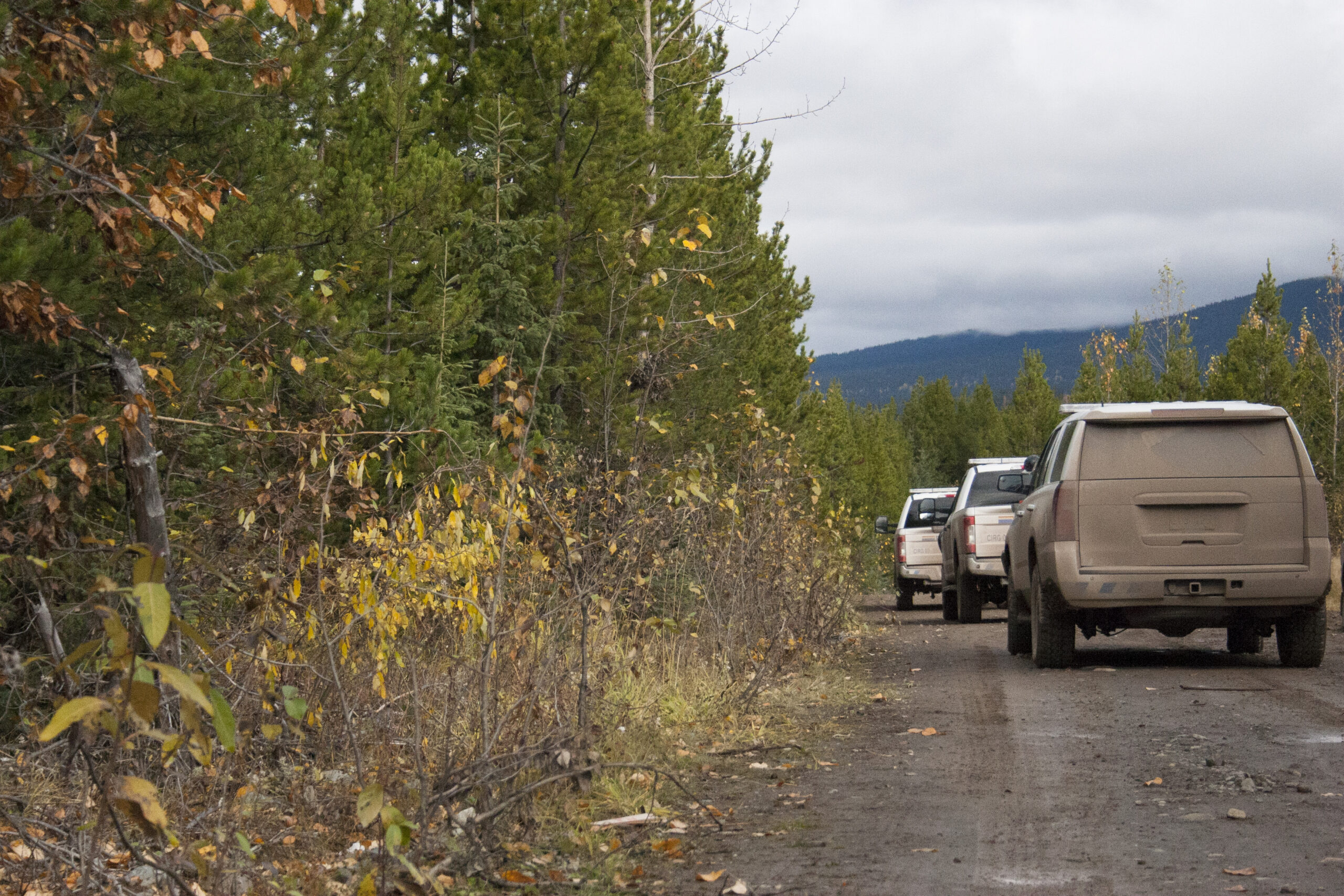 RCMP vehicles covered in dirt from driving the backroads on Wet'suwet'en territory. In late April, officers issued Sleydo' Molly Wickham four traffic violations, including one for having illegible licence plates.