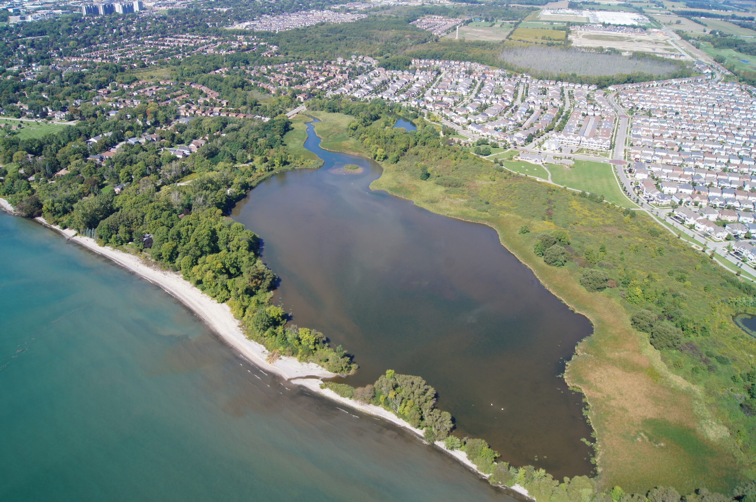 An aerial view of a creek flowing into a pond, then draining into Lake Ontario in an area surrounded by houses.