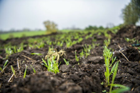 A farm in Uxbridge, Ont., in Durham Region. On May 25, regional council voted to open 9,000 acres of farmland to development despite warnings from staff.