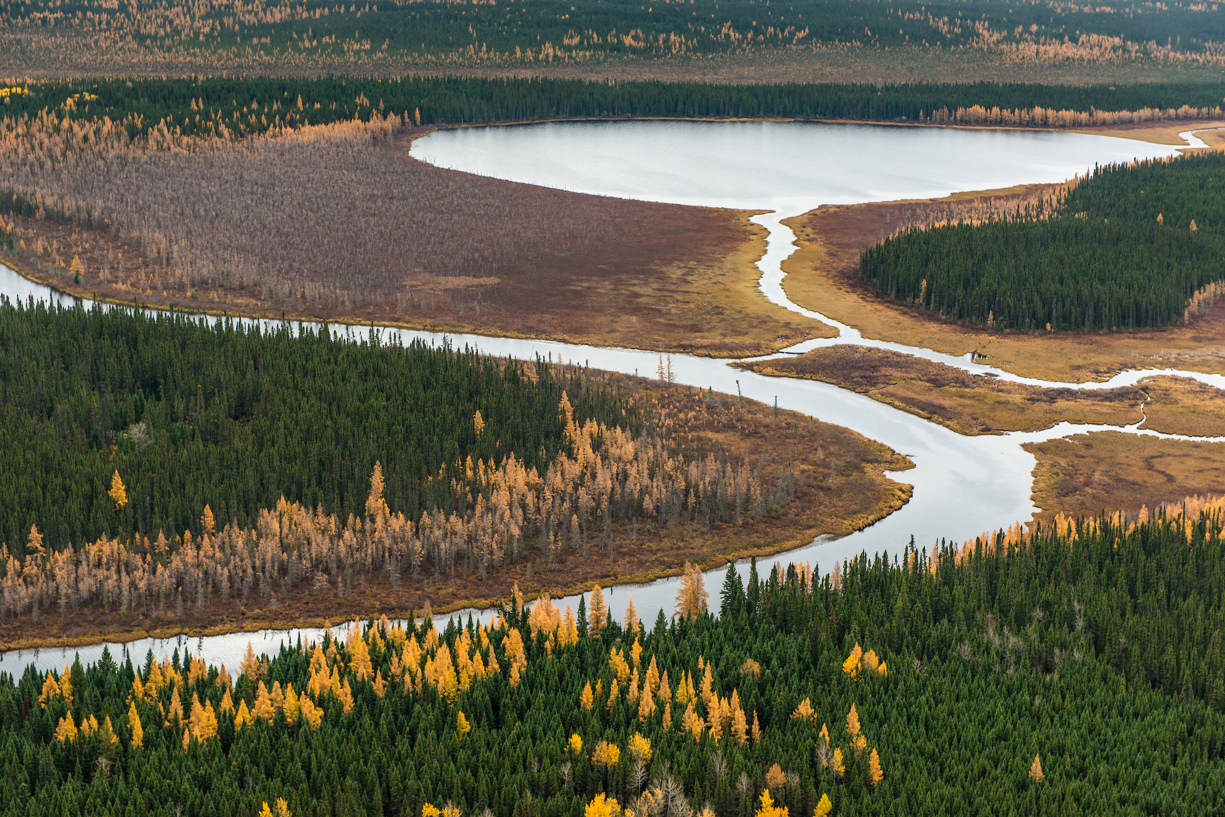 An aerial photo of a river cutting through wetlands and boreal forest in the James Bay Lowlands, where Ontario's Ring of Fire is located.