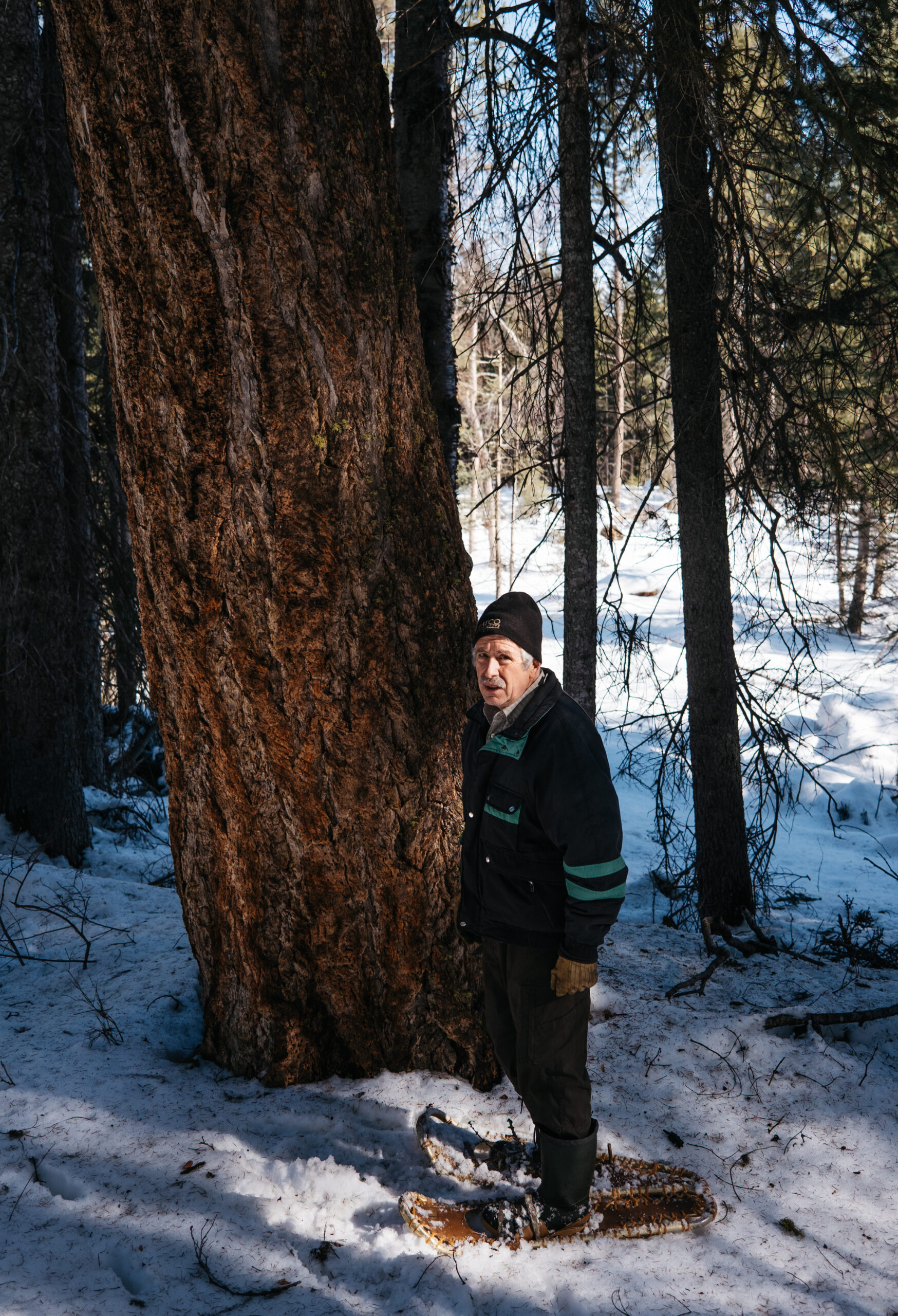 George Delisle stands next to one of the largest Douglas fir trees on his woodlot. Through selective logging he has created a forest that carries a variety of tree species with wide-ranging ages.