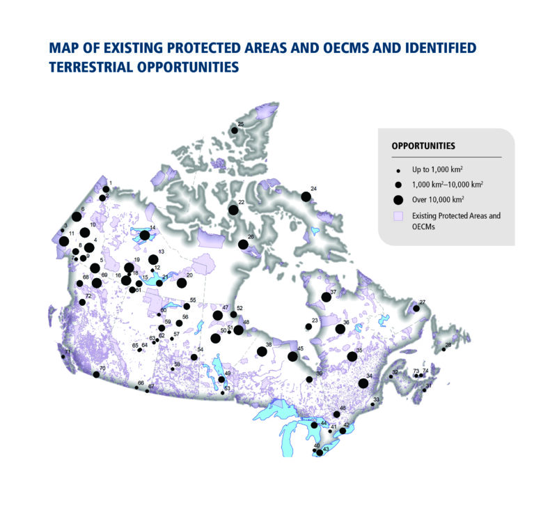 Five Proposed Protected Areas Could Help Canada Meet Its Conservation   CPAWS RoadmapReport2022 National Terrestrial Map ENG 800x729 