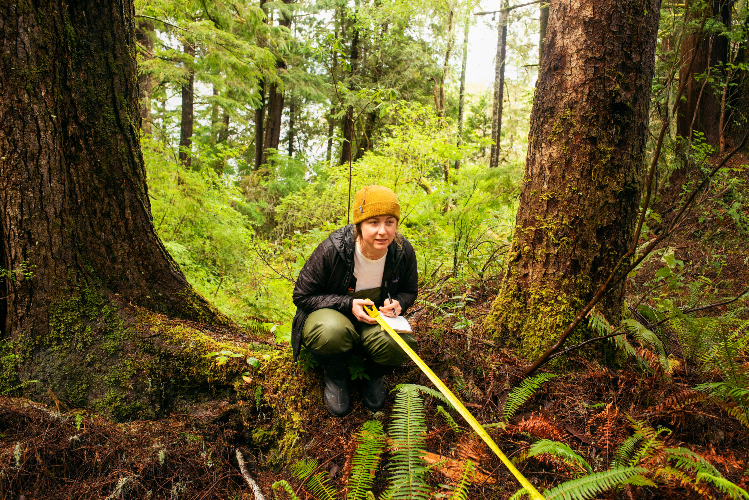 Chelsey Armstrong takes measurements of an ancient midden site on Nuchatlaht territory