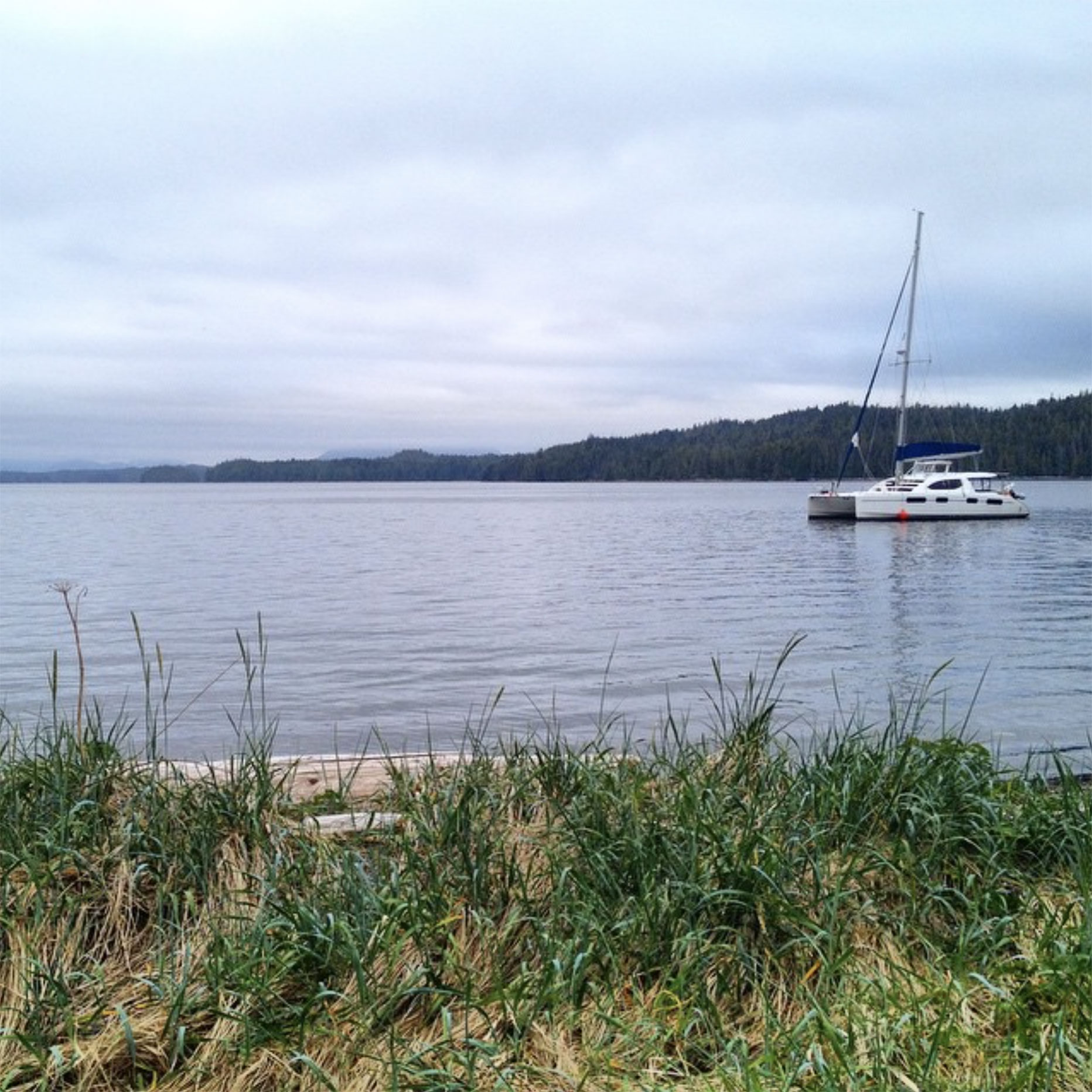 A photo of Ian McAllister's catamaran in the water. The grassy shoreline is visible in the foreground.
