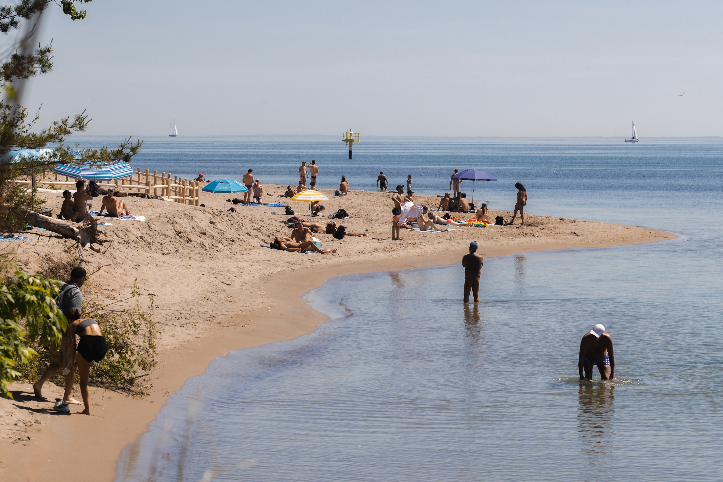A view of Hanlan's Point Beach, the subject of our story on Pride Toronto in 2022. Photo: Kirk Lisaj / The Narwhal