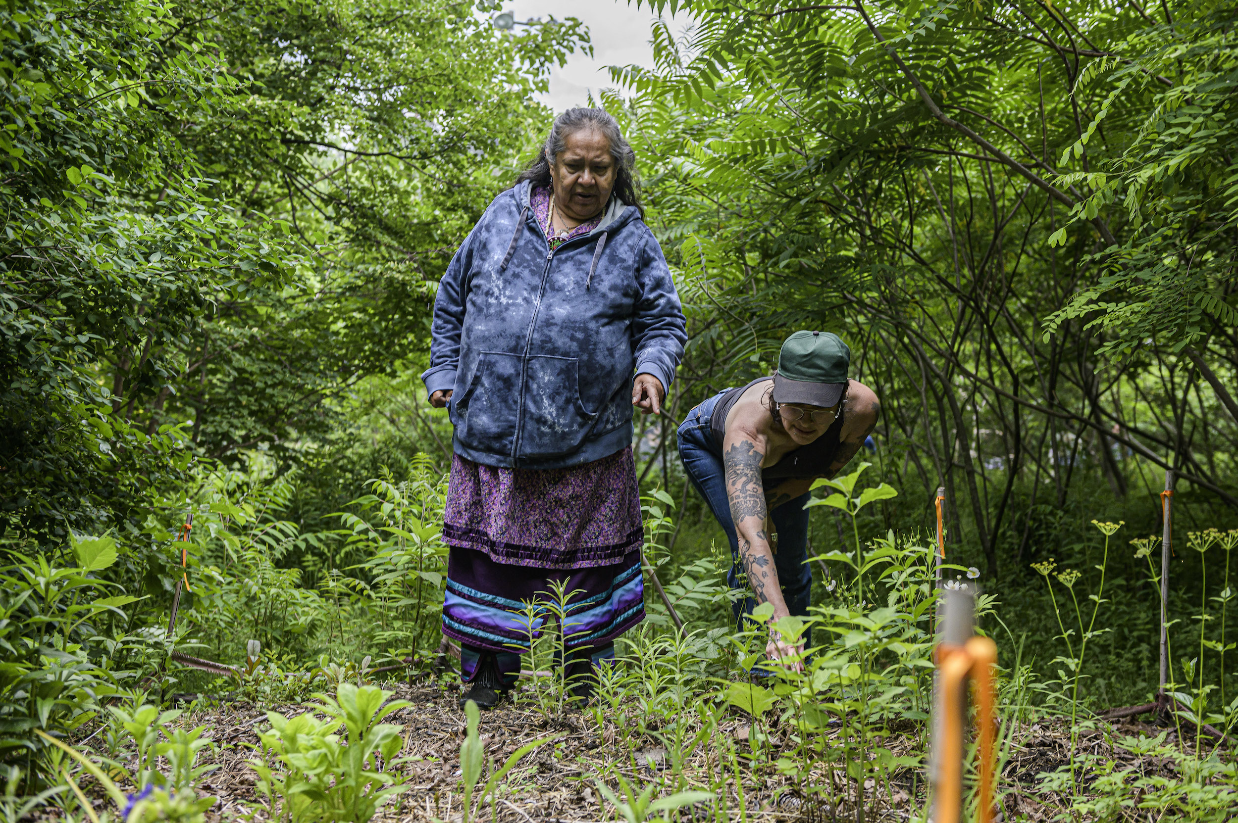 Donna Powless, director of the Taiaiako’n Historical Preservation Society surveys a parcel of land in High Park, Toronto, with Kim Jackson (right) of the Indigenous Land Stewardship Circle