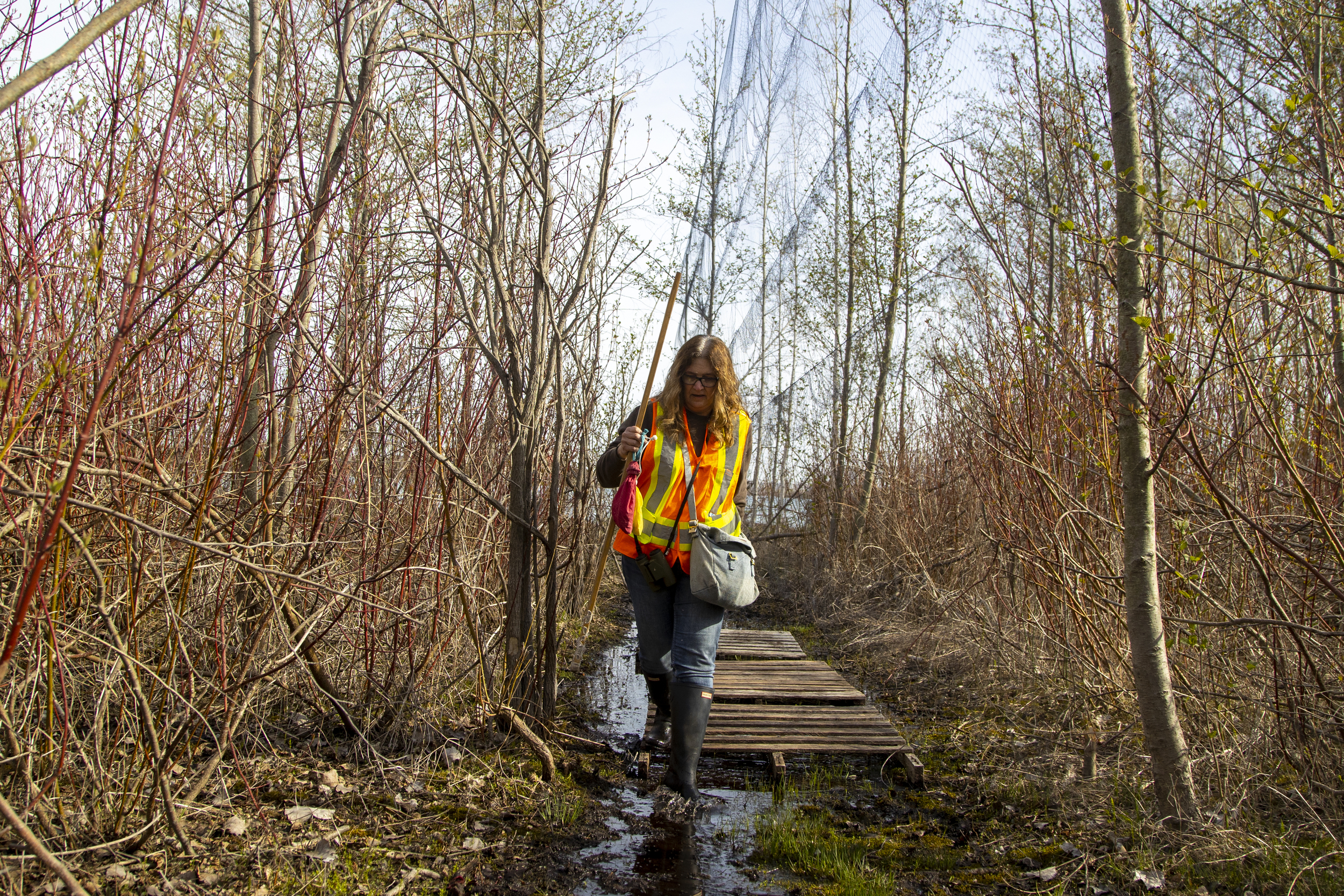 A woman in an orange vest and rain boots walks through a puddle in the woods beside a long, barely-visible net