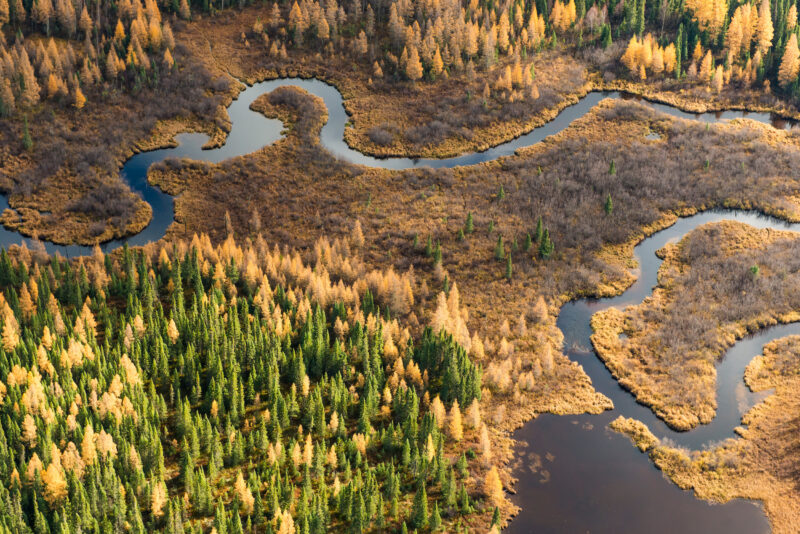 Aerial shot of the Ring of Fire Boreal Forest
