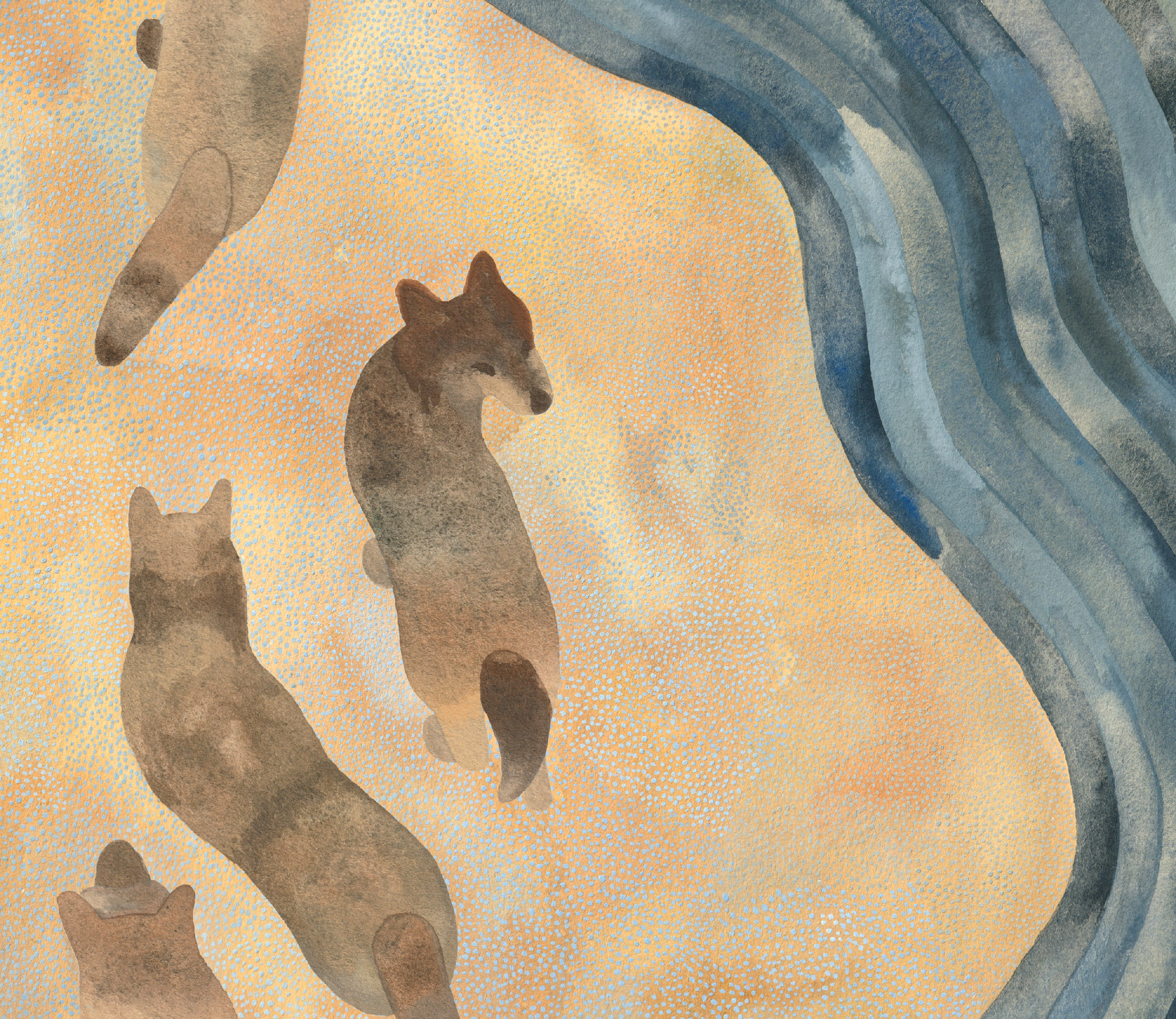 Painting of wolves on a beach close to the Ocean from a viewpoint above the beach. One wolf is looking up.