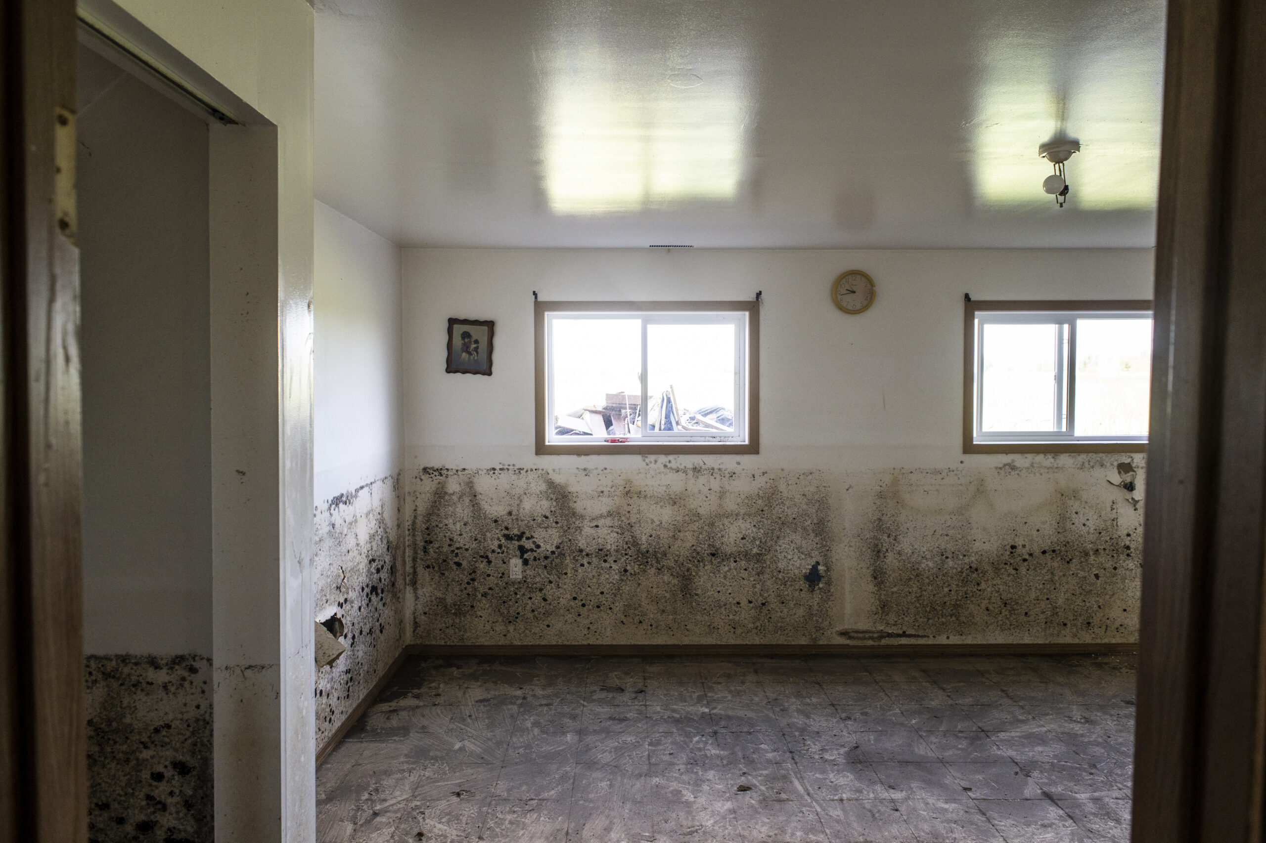 Black mold stains are visible on the walls of a basement room, up to the lower edge of two windows. A clock and small piece of art hang on the walls.