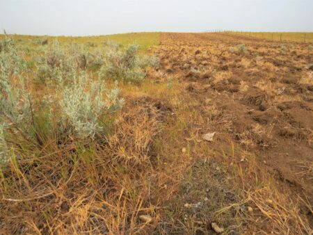 A field with native grassland that is being dug up