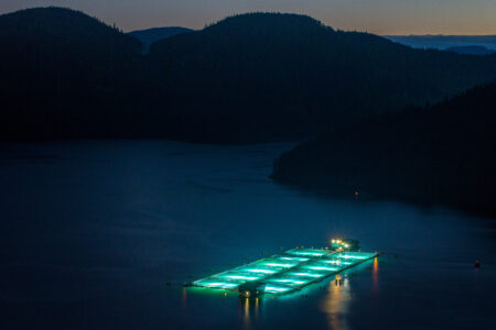 A salmon farm is seen lit up at night off the coast of B.C. with mountains in the background