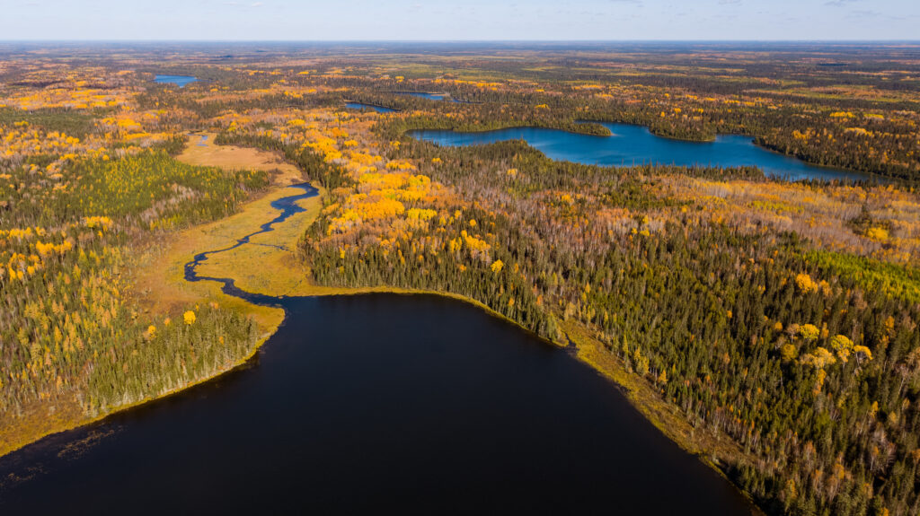 What’s going on with Ontario’s Ring of Fire? | The Narwhal