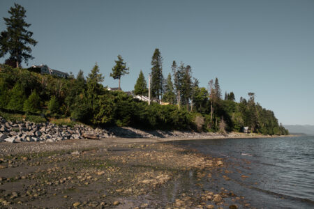 Qualicum Beach: The edge of a residential area with some old growth in the backkgroud.