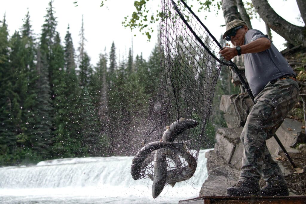 A man tries to hold onto his fish net with a catch of four fish by the water.
