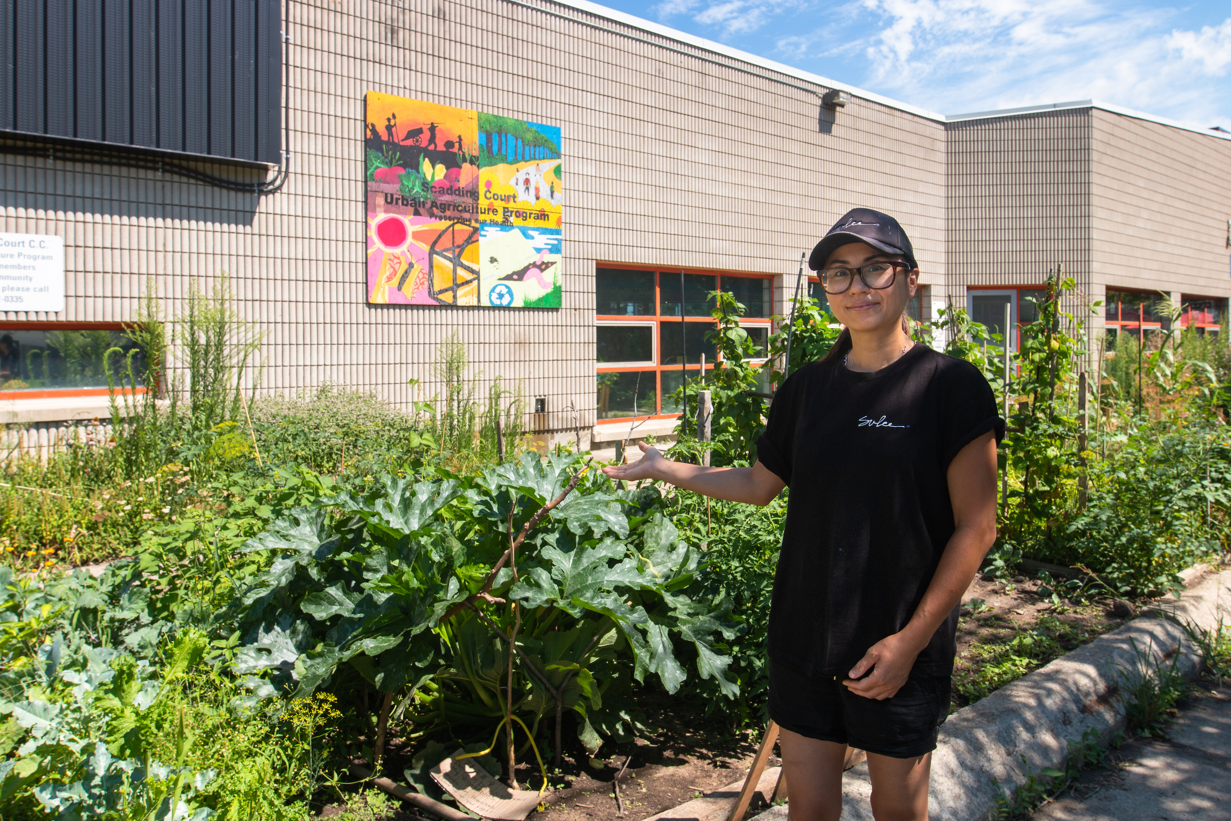 Chef Su Jin Lee at her plot at the Scadding Court Community Centre garden in Toronto. Photo: Ramona Leitao / The Narwhal
