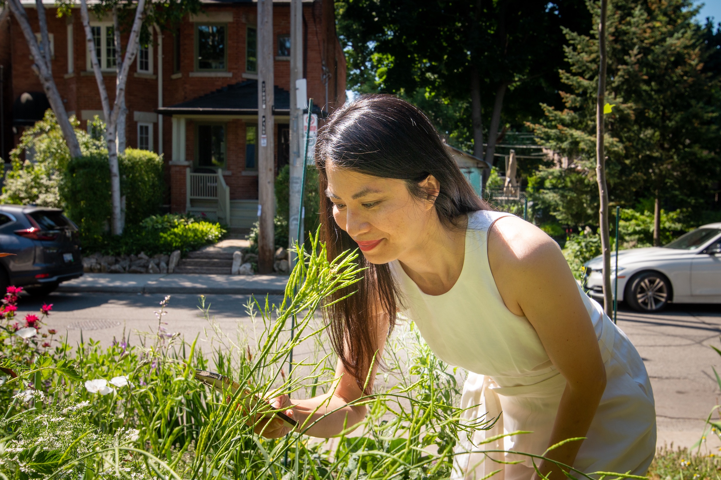 Mary Vo in her front yard food garden in Toronto. Photo by Ramona Leitao