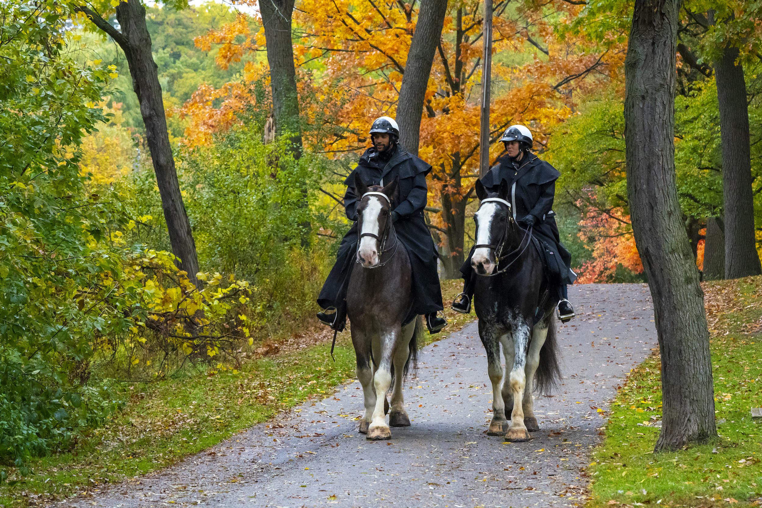 Members of the Toronto Police mounted unit patrol in High Park in 2020.