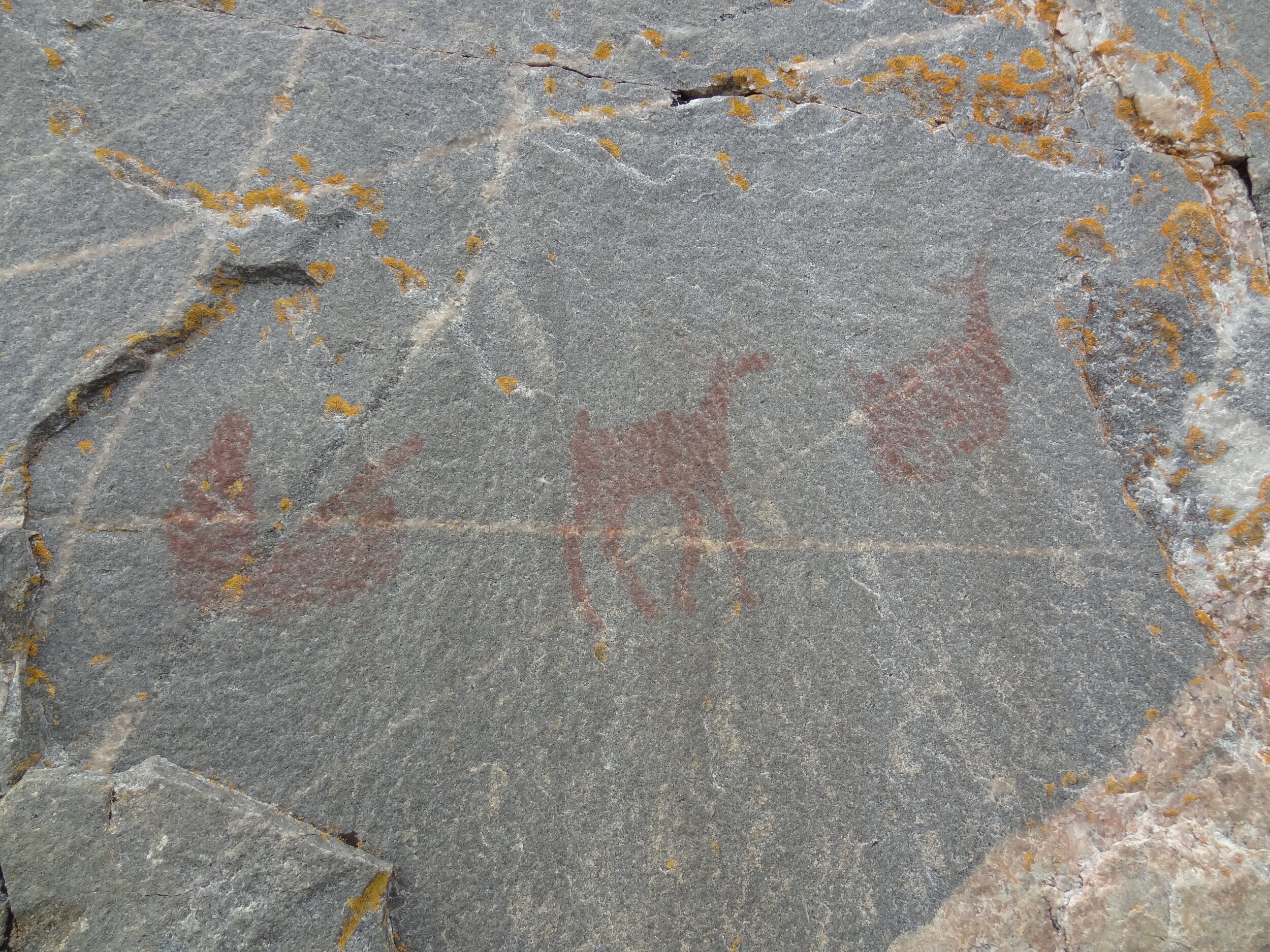 Pictographs on the side of a sheer rock face at Lake Superior Provincial Park.