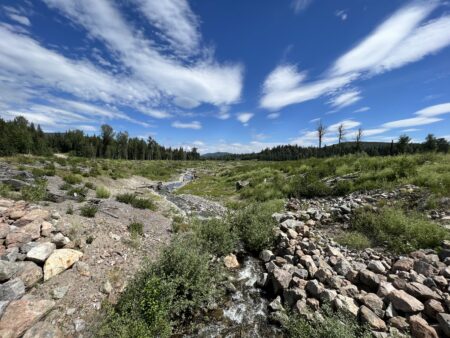 Hazeltine Creek eight years after the Mount Polley mine disaster.