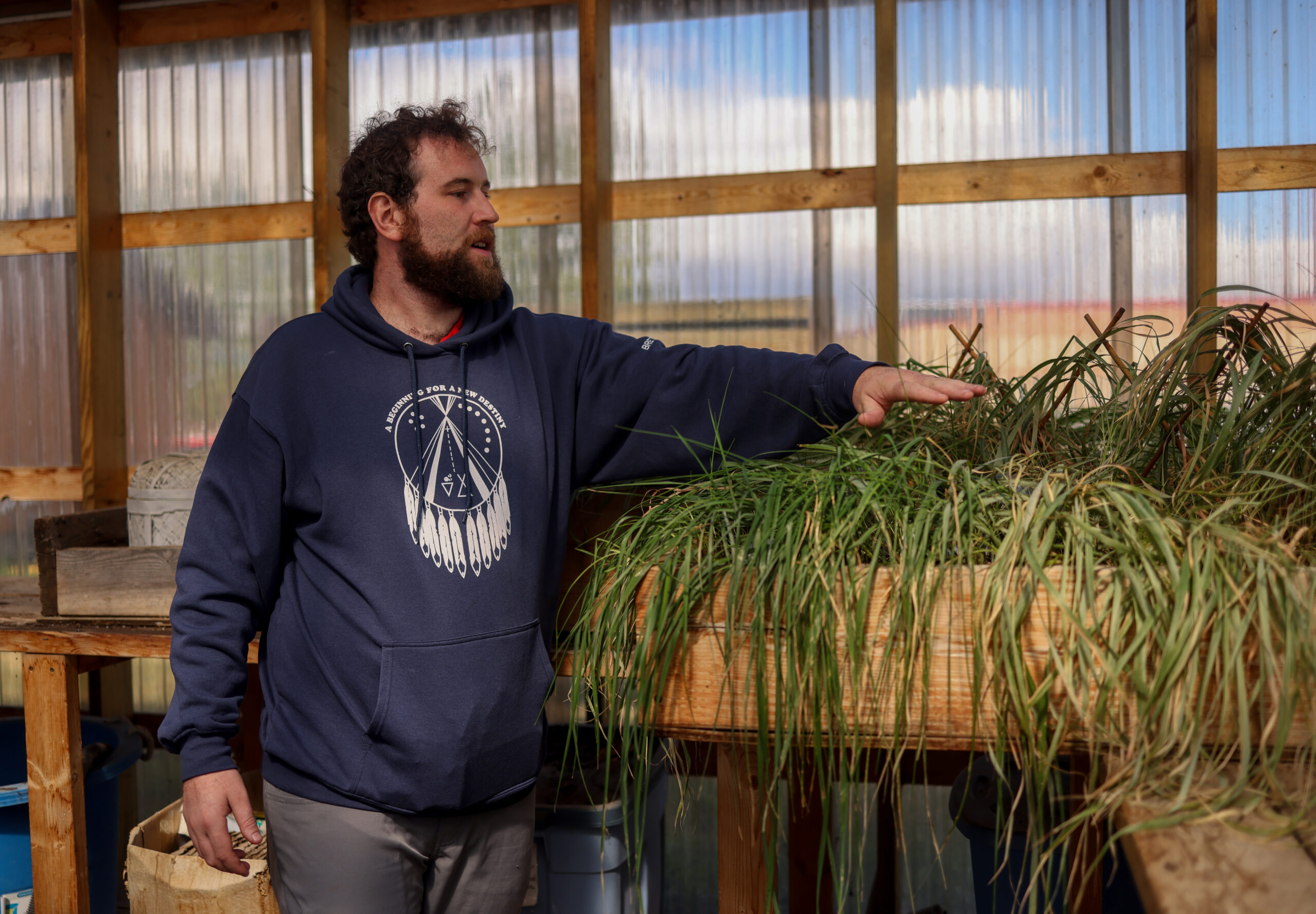 Teacher Brett Weighill looks at sweetgrass in the greenhouse by the school on Piikani Nation.